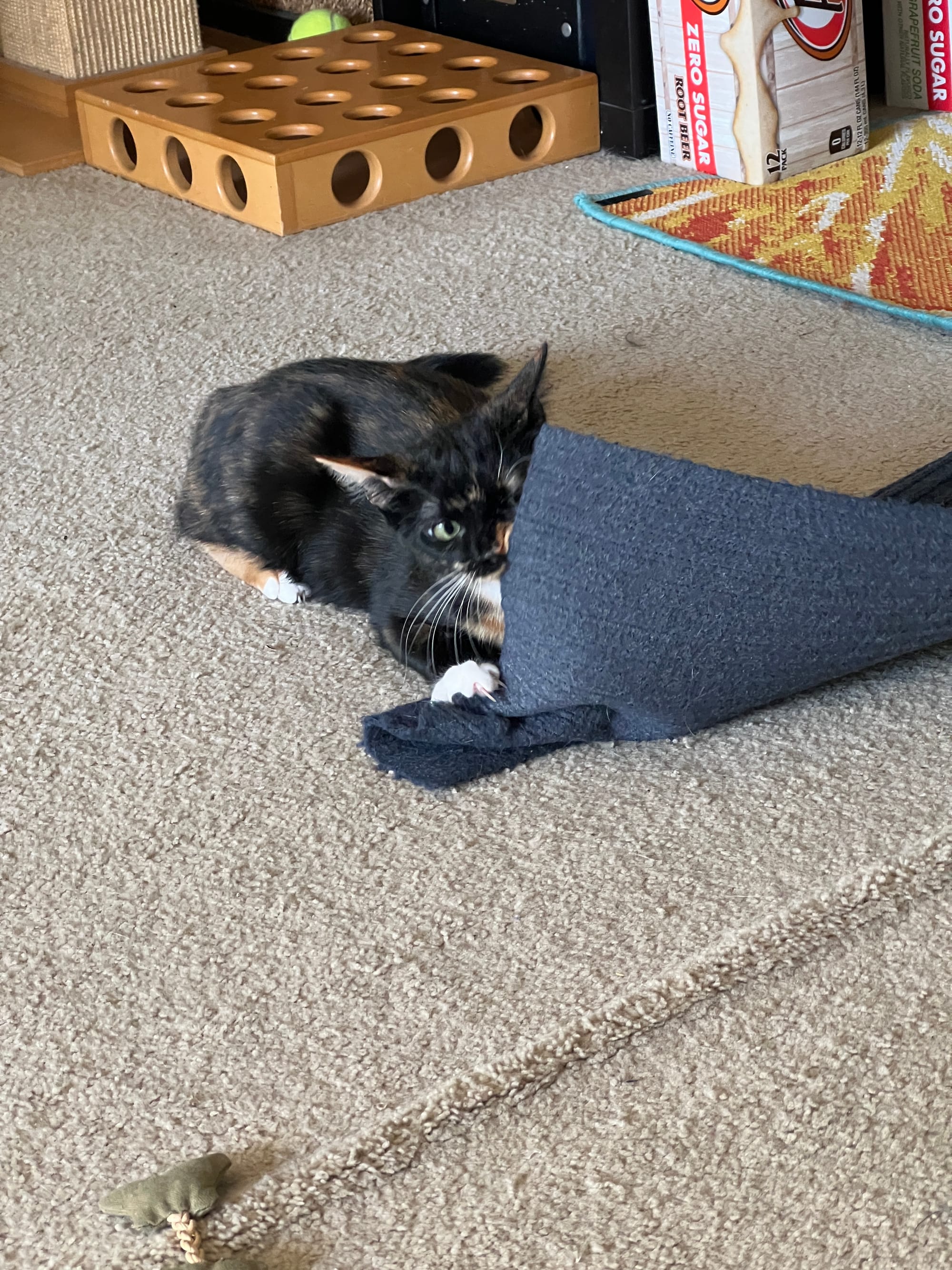 Izzy is now on top of the mat, which has flipped up into her face