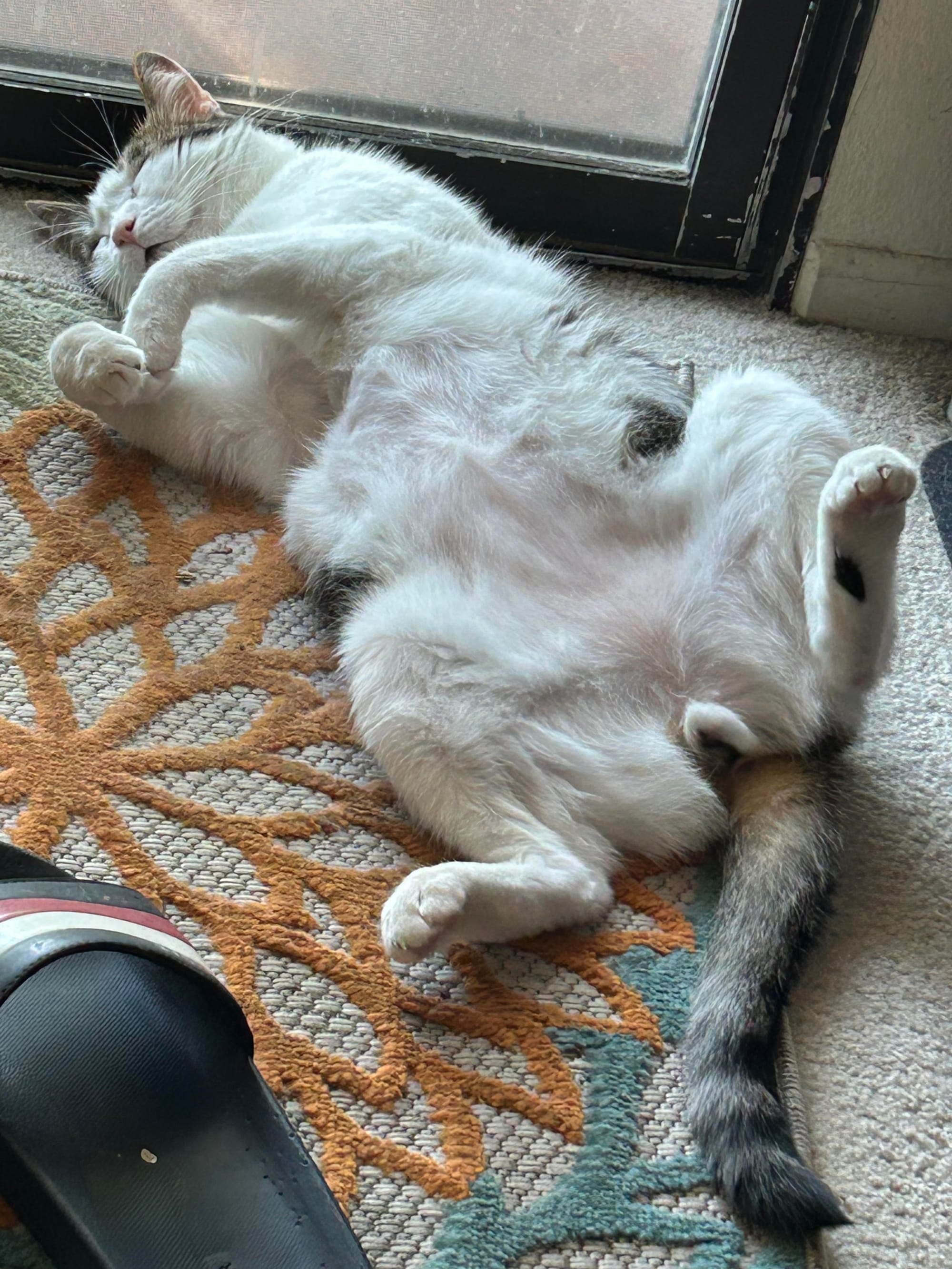 Issue 22: a signing, a panel, and festivals ahoy!