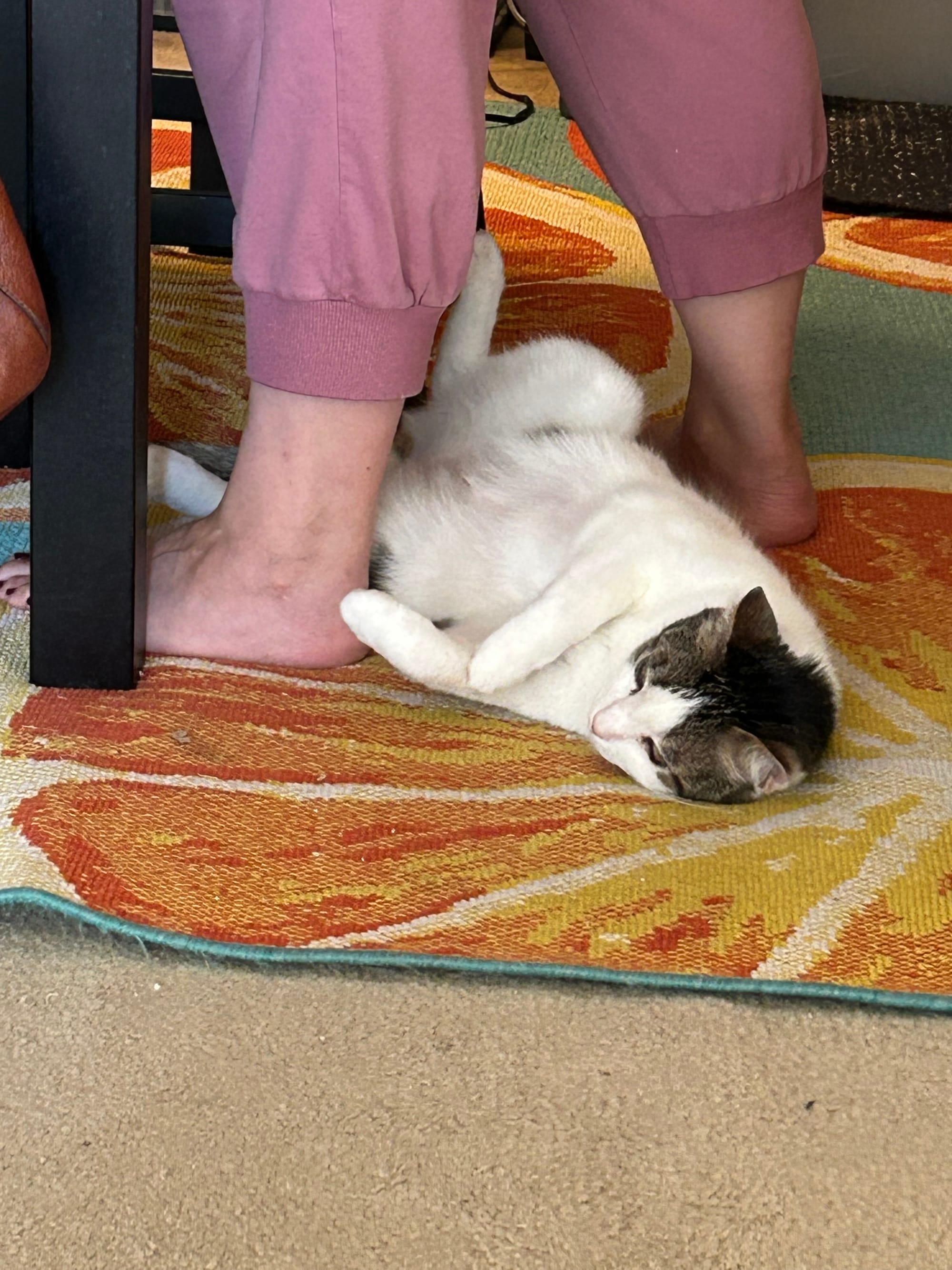 Henry lying on the floor, on his back, directly between two feet