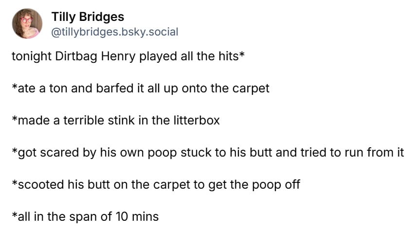 tonight Dirtbag Henry played all the hits* *ate a ton and barfed it all up onto the carpet *made a terrible stink in the litterbox *got scared by his own poop stuck to his butt and tried to run from it *scooted his butt on the carpet to get the poop off *all in the span of 10 mins