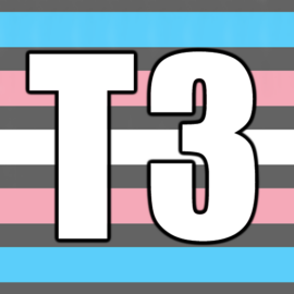 Issue 22: a signing, a panel, and festivals ahoy!